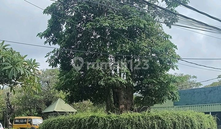 Premium Land Plots for Investment Sure to Increase on Jl Bypass Ibmantra