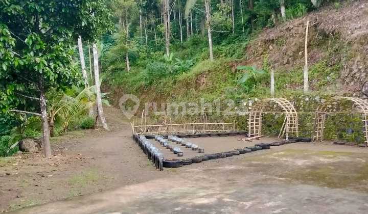 Rumah di Desa Kecamatan Samigaluh Yogyakartagkungan Tenang dan Asri 2