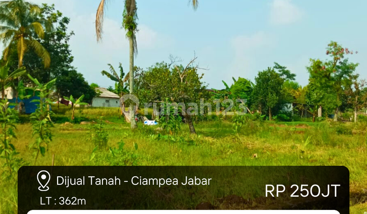 Dijual Tanah Kavling di Ciampea Bogor Dekat dengan Skkses Mudah, Dekat dengan Skolah dan Klinik