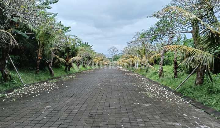 Tanah Kavling Premium Investasi Pasti Naik Di Jl Bypass Ibmantra