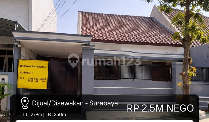 Rumah Murah 1 Lantai di Area Kampus Petra Surabaya Rumah Murah 1 Lantai di Area Kampus Petra Surabaya