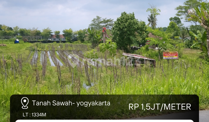 Tanah Sawah di Sleman Yogyakarta Dekat dengan Rs Pku Sleman dan Mall Sch