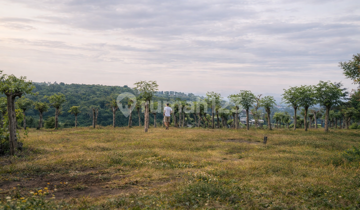 Tanah Kavling di Sumbawa Dekat dengan Unsa (Universitas Samawa)