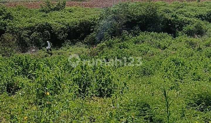 Tanah Siap Bangun di Pematang Siantar Sangat Ideal untuk Pembangunan Perumahan Tanah Siap Bangun di Pematang Siantar Sangat Ideal untuk Pembangunan Perumahan