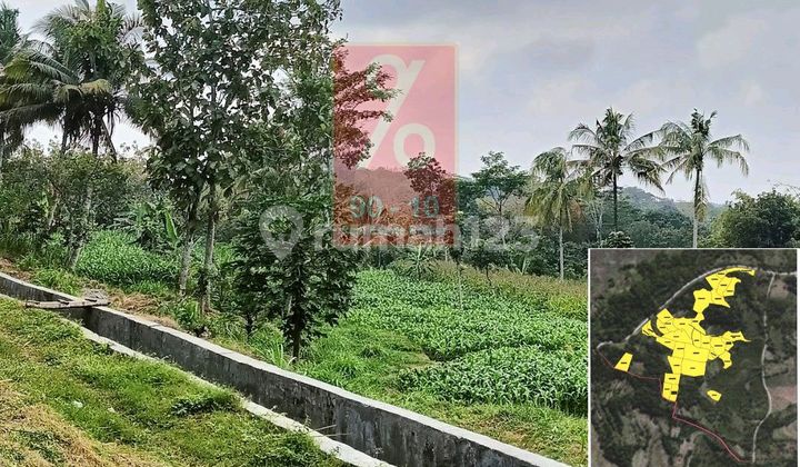 Di Jual Cepat Tanah Di Salatiga Status Zona Merah Di Jual Cepat Tanah Di Salatiga Status Zona Merah