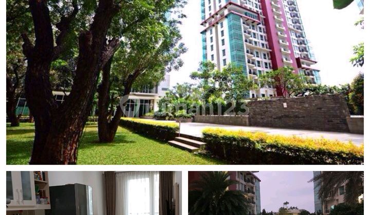 Premium Woodland Park Residence Apartment South Jakarta 1