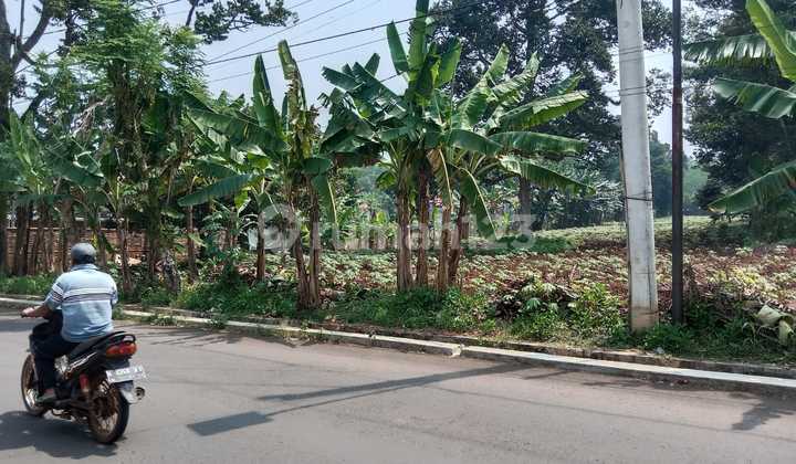 Dijual Tanah Pekarangan Cocok untuk Usaha atau Hunian di Wonorejo Mijen Semarang 2