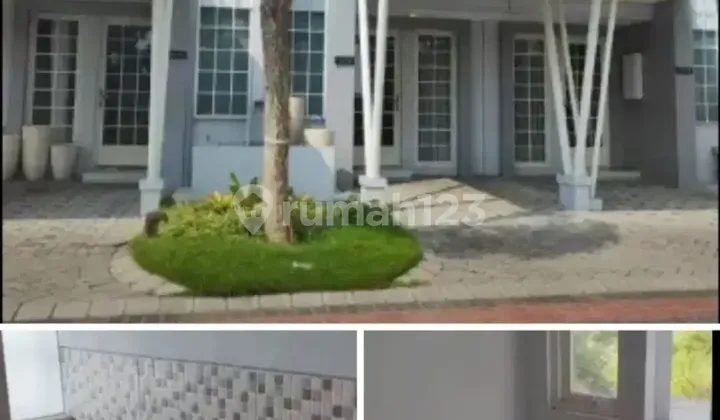 Rare items can be rented for 1 year at Queensland Grand Pakuwon. Rare items can be rented for 1 year at Queensland Grand Pakuwon.