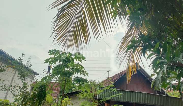 Dijual Cepat Rumah Hitung Tanah Sepat Lidah Kulon Lakarsantri Surabaya