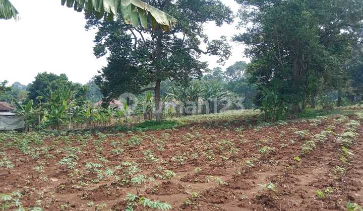 Dijual Tanah Pekarangan Cocok untuk Usaha atau Hunian di Wonorejo Mijen Semarang 1