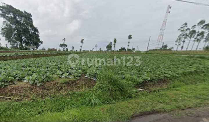 Dijual Tanah Cocok untuk Usaha View Gunung Merbabu di Getasan Semarang 1