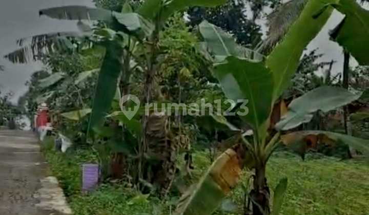 Dijual Cepat Tanah Harga Terjangkau di Ampel Boyolali