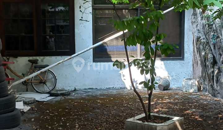 1-Story House Suitable for Residence, Office, or Gallery in Manyar Kertoarjo Surabaya 2