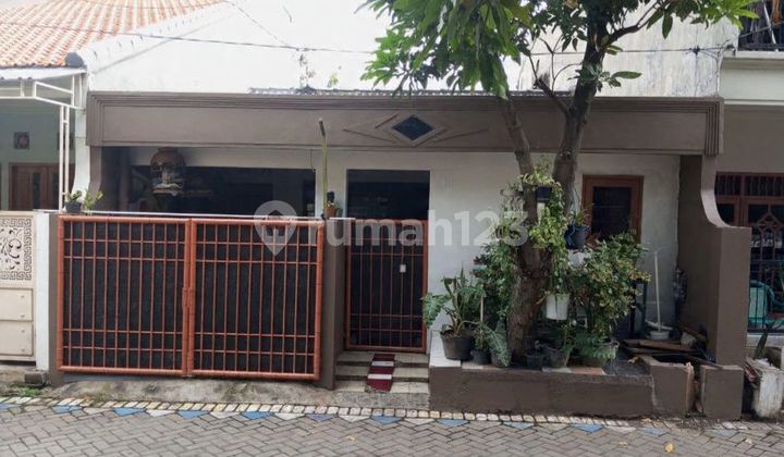 Pasti Termurah Rumah Sangat Strategis di Pondok Jati Pusat Kota Sidoarjo Pasti Termurah Rumah Sangat Strategis di Pondok Jati Pusat Kota Sidoarjo
