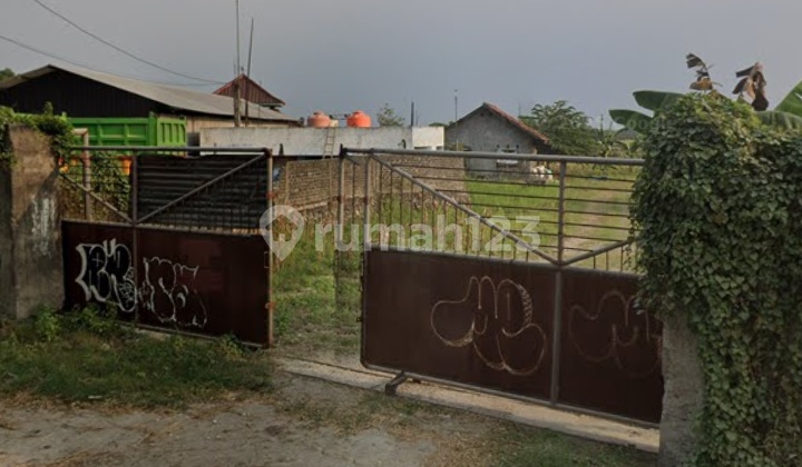 Nego Sampai Deal Tanah Cocok untuk Industri Nol Jalan Raya Provinsi di Widang Tuban Nego Sampai Deal Tanah Cocok untuk Industri Nol Jalan Raya Provinsi di Widang Tuban