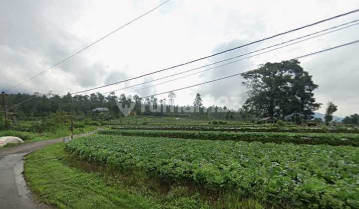 Dijual Tanah Cocok untuk Usaha View Gunung Merbabu di Getasan Semarang 2