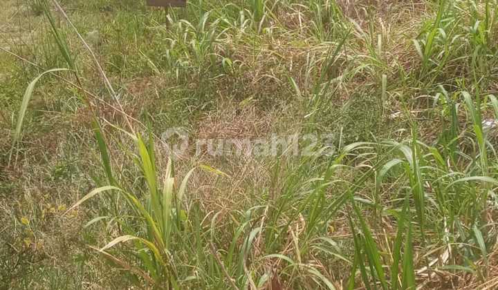 Tanah Kavling Siap Bangun Harga bisa Nego di Hulaan Menganti Tanah Kavling Siap Bangun Harga bisa Nego di Hulaan Menganti