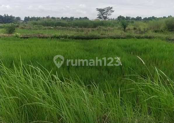 Land Plot for Sale in Wonokoyo, Menganti, Gresik. Land at Wonokoyo Gate Road, Jl. Raya Menganti No. 08, Menganti, Menganti, Gresik, East Java, Indonesia, 61174. Menganti 72.0 m². Others. Land Plot for Sale in Wonokoyo, Menganti, Gresik. Land at Wonokoyo Gate Road, Jl. Raya Menganti No. 08, Menganti, Menganti, Gresik, East Java, Indonesia, 61174. Menganti 72.0 m². Others.