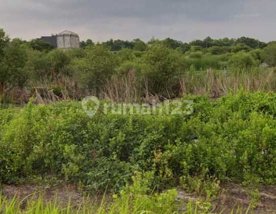 Dijual Tanah Kavling di Gunung Anyar Tambak Surabaya Timur Tanah di Jl. Desa Gunung Anyar Tambak 279829, Gunung Anyar Tambak, Gunung Anyar, Kota Surabaya, Jawa Timur, Indonesia, 60294, Surabaya Kota SHM 220.0 M² Dijual Tanah Kavling di Gunung Anyar Tambak Surabaya Timur Tanah di Jl. Desa Gunung Anyar Tambak 279829, Gunung Anyar Tambak, Gunung Anyar, Kota Surabaya, Jawa Timur, Indonesia, 60294, Surabaya Kota SHM 220.0 M²