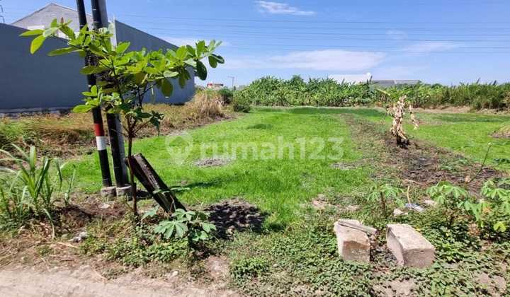 Dijual Tanah Kavling Di Wage Taman Sidoarjo Tanah di Jl. Jeruk III No.3, Wage, Taman, Sidoarjo, Jawa Timur, Indonesia, 61257, Taman SHM Dijual Tanah Kavling Di Wage Taman Sidoarjo Tanah di Jl. Jeruk III No.3, Wage, Taman, Sidoarjo, Jawa Timur, Indonesia, 61257, Taman SHM