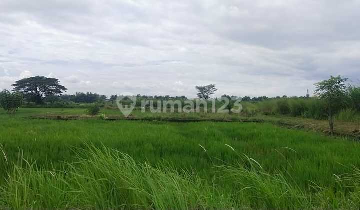 Dijual Tanah Kavling di Wonokoyo Menganti Gresik Tanah di Gapura Jalan Wonokoyo, Jl. Raya Menganti No. 08, Menganti, Menganti, Gresik, Jawa Timur, Indonesia, 61174, Menganti 72.0 M² Lainnya