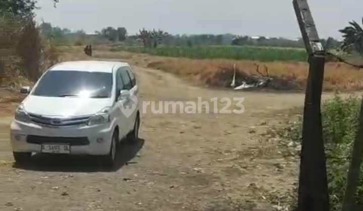 Dijual Tanah Raya Leker Rejo Cerme Gresik Tanah di Jl. Raya Leker Rejo No. 45, Dadapkuning, Cerme, Gresik, Jawa Timur, Indonesia, 61171, Cerme SHM 53000.0 M²