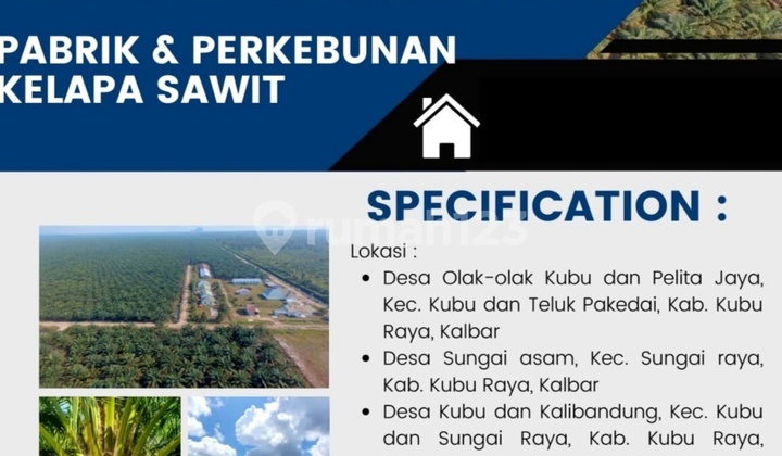 Take Over Kebun Sawit di Pelita Jaya Kubu Raya Kalimantan Barat Take Over Kebun Sawit di Pelita Jaya Kubu Raya Kalimantan Barat