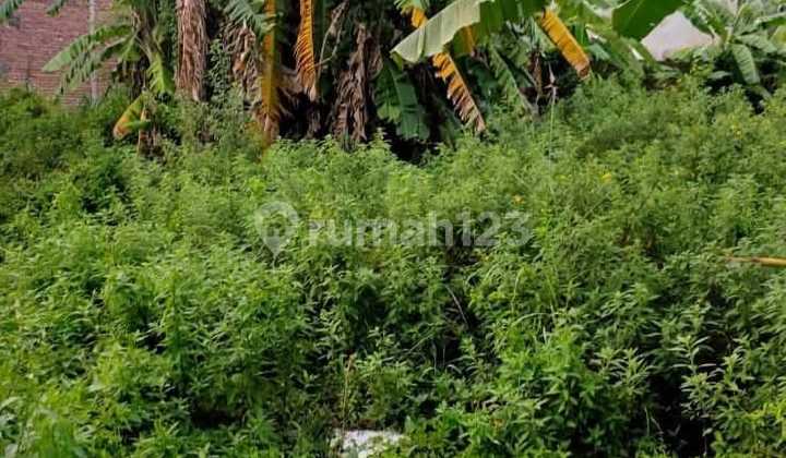 Dijual Tanah Siap Bangun Di Bumi Taruna Wage Taman Sidoarjo di Perumahan Bumi Taruna, Jl. Taruna, Wage, Taman, Sidoarjo, Jawa Timur, Indonesia, 61257, Sidoarjo Tanah SHM