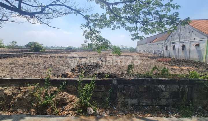 Dijual Tanah Raya Domas Menganti Gresik Tanah di Indomaret Domas, Jl. Raya Domas, Boteng, Menganti, Gresik, Jawa Timur, Indonesia, 61174, Menganti SHM 3.0 ha