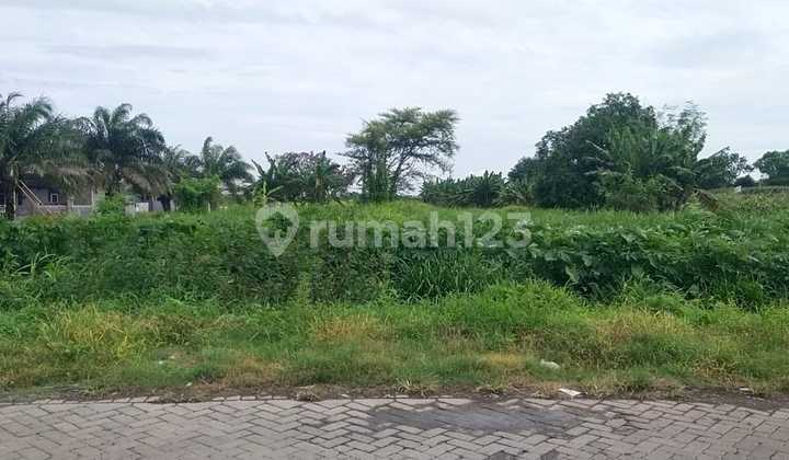 Dijual Tanah Kering di Randegansari Driyorejo Gresik Tanah di Warkop Barongan, Dusun Bunut, Randegansari, Driyorejo, Gresik, Jawa Timur, Indonesia, 61177, Driyorejo Lainnya 4200.0 M² Dijual Tanah Kering di Randegansari Driyorejo Gresik Tanah di Warkop Barongan, Dusun Bunut, Randegansari, Driyorejo, Gresik, Jawa Timur, Indonesia, 61177, Driyorejo Lainnya 4200.0 M²