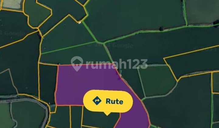 For Sale: Active Pond Land in Raci Kulon, Sidayu, Gresik. Land located at Masjid Jami' Al Muttaqin, Jl. Masjid Jami' Al Muttaqin, Racikulon, Sidayu, Gresik, East Java, Indonesia, 61153. SHM (Certificate of Ownership) 2.7 hectares.