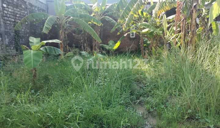 For Sale: Ready-to-Build Plot of Land in Sememi Jaya, Benowo, West Surabaya. Land located at Sememi Jaya Gate, Gang IV RT.03/RW.01, Jl. Sememi Jaya, Gg. IV RT.03/RW.01, Sememi, Benowo, Surabaya City, East Java, Indonesia, 60198, Benowo AJB 53.0 m². For Sale: Ready-to-Build Plot of Land in Sememi Jaya, Benowo, West Surabaya. Land located at Sememi Jaya Gate, Gang IV RT.03/RW.01, Jl. Sememi Jaya, Gg. IV RT.03/RW.01, Sememi, Benowo, Surabaya City, East Java, Indonesia, 60198, Benowo AJB 53.0 m².