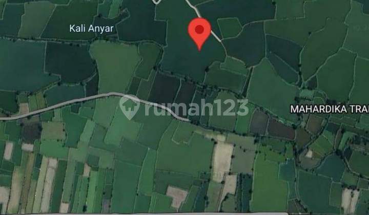 For Sale: Active Pond Land in Raci Kulon, Sidayu, Gresik. Land located at Masjid Jami' Al Muttaqin, Jl. Masjid Jami' Al Muttaqin, Racikulon, Sidayu, Gresik, East Java, Indonesia, 61153. SHM (Certificate of Ownership) 2.7 hectares.