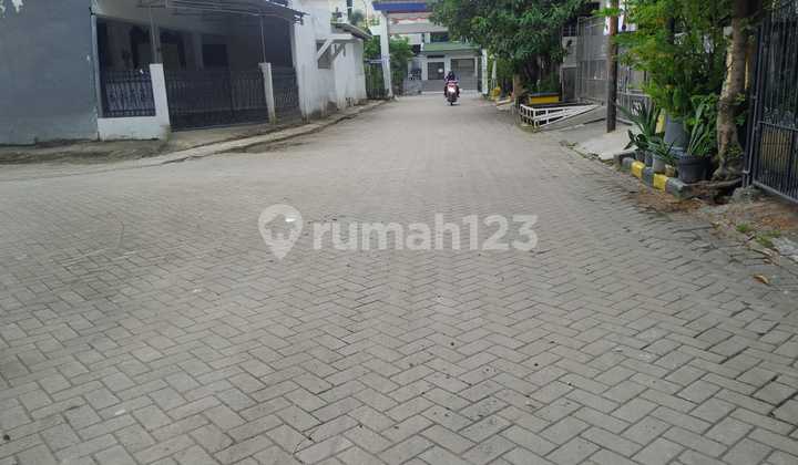 Rumah Cantik Murah di Darmo Indah 2