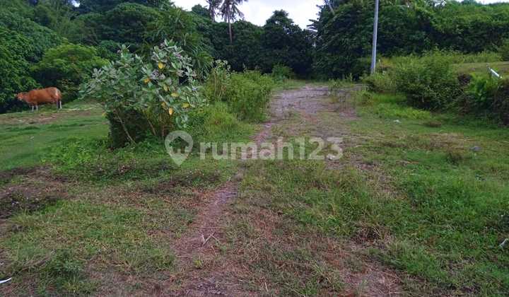 Strategic Land on Ida Bagus Mantra Main Road Strategic Land on Ida Bagus Mantra Main Road
