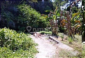 Cheap Land in Mengwi, Ready to Build