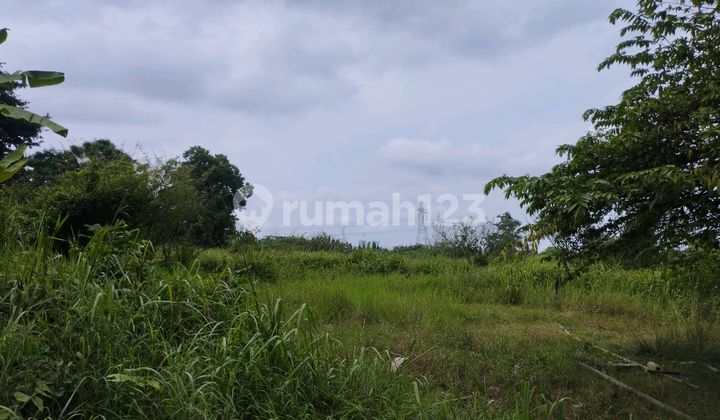 Tanah Murah di Jalan Diklat Pemda Tangerang Tanah Murah di Jalan Diklat Pemda Tangerang