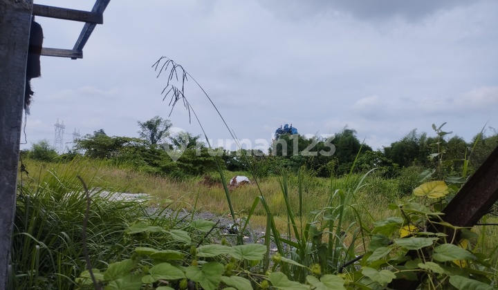 Tanah Murah di Jalan Diklat Pemda Tangerang Tanah Murah di Jalan Diklat Pemda Tangerang