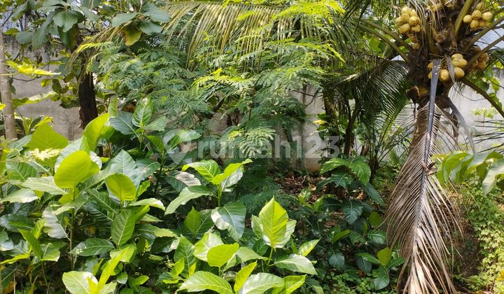 For Sale Plots of Land in Puspitek Pagedangan BSD City