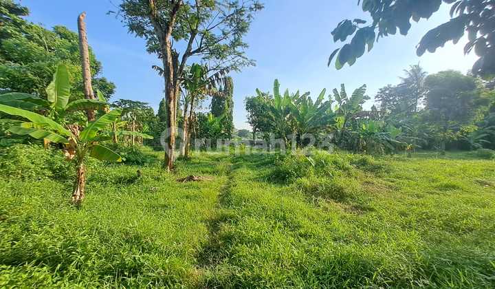 Dijual Tanah Murah Di Bogor Gunung Sindur