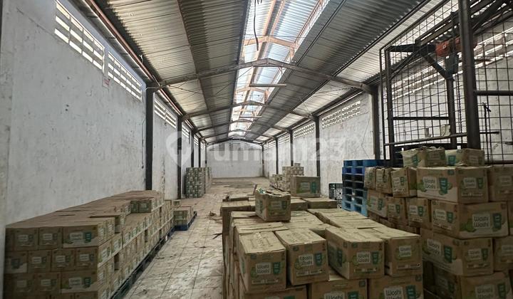 Dijual Gadung di Bandengan Penjaringan, Jakartav Utara Dijual Gadung di Bandengan Penjaringan, Jakartav Utara