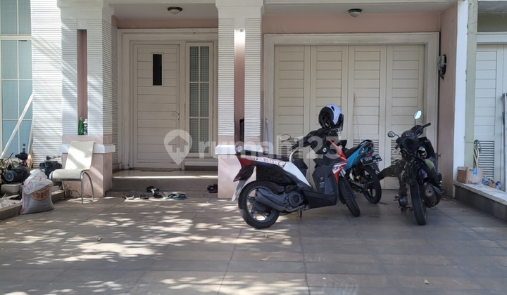 Disewa Dijual Rumah Sutera Olivia Renovasi On Progress 