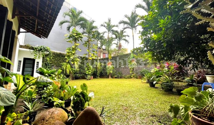 Dijual Cepat Rumah Giriloka Bsd Halaman Luas Asri Bisa Buat Kolam Renang 2