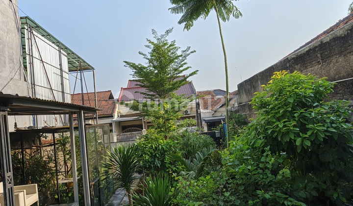 Oriole Cirebon Oriole Cirebon