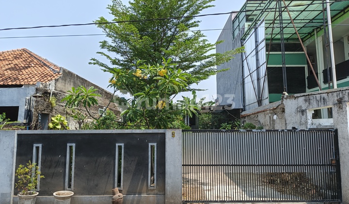 Oriole Cirebon Oriole Cirebon