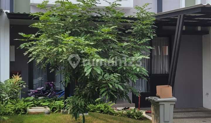 Dijual Murah Rumah 2 Lantai 7x12 Cluster Baroni Gading Serpong