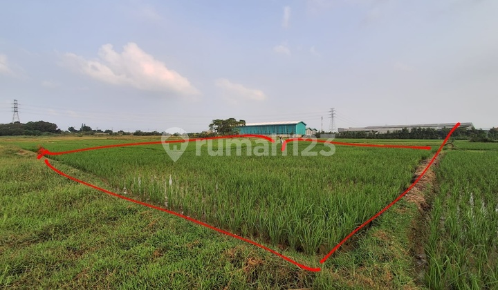 Dijual Cepat Tanah Sawah Butuh Uang Di Cikarang Dkt Deltamas