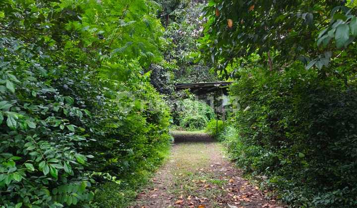 Dijual Tanah Luas 3268M Kontrakan 20 Kamar di Pondok Jaya, Tangsel