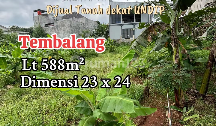 Selling Land Near Undip and Banyumanik Toll Exit 1