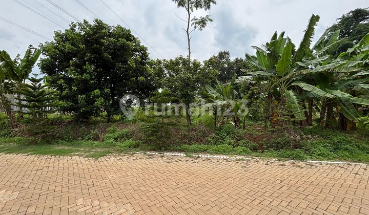 Sell Land in West Semarang 1